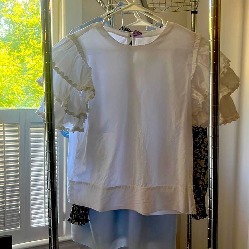 white ruffle sleeved blouse boutique brand